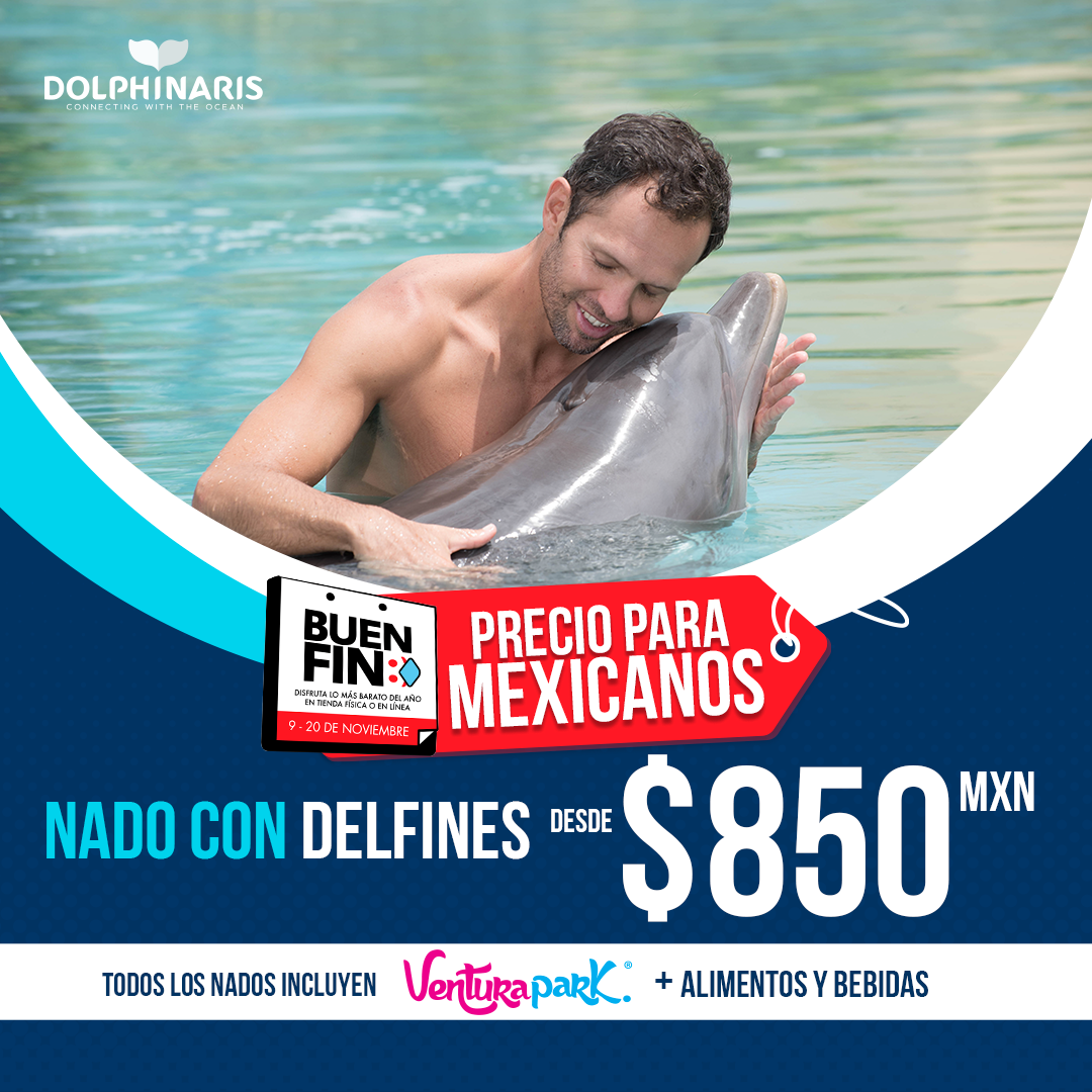 Dolphinaris, una Experiencia Única con Precios Jamás Antes Vistos
